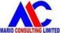 Mario Consulting Limited logo